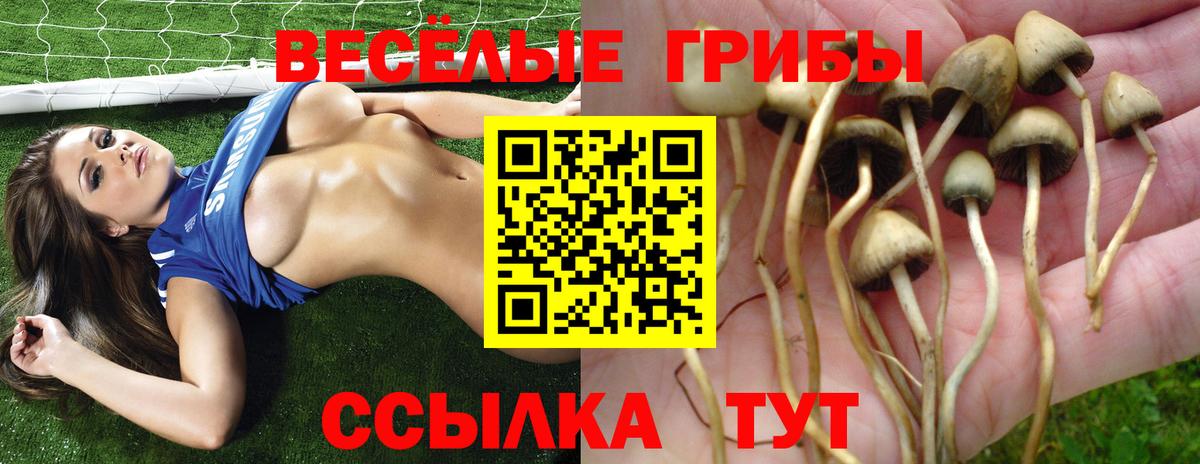 Псилоцибиновые грибы Psilocybine cubensis  Вход с VPN  Псилоцибиновые грибы мицелий  сколько стоит  Октябрьский 